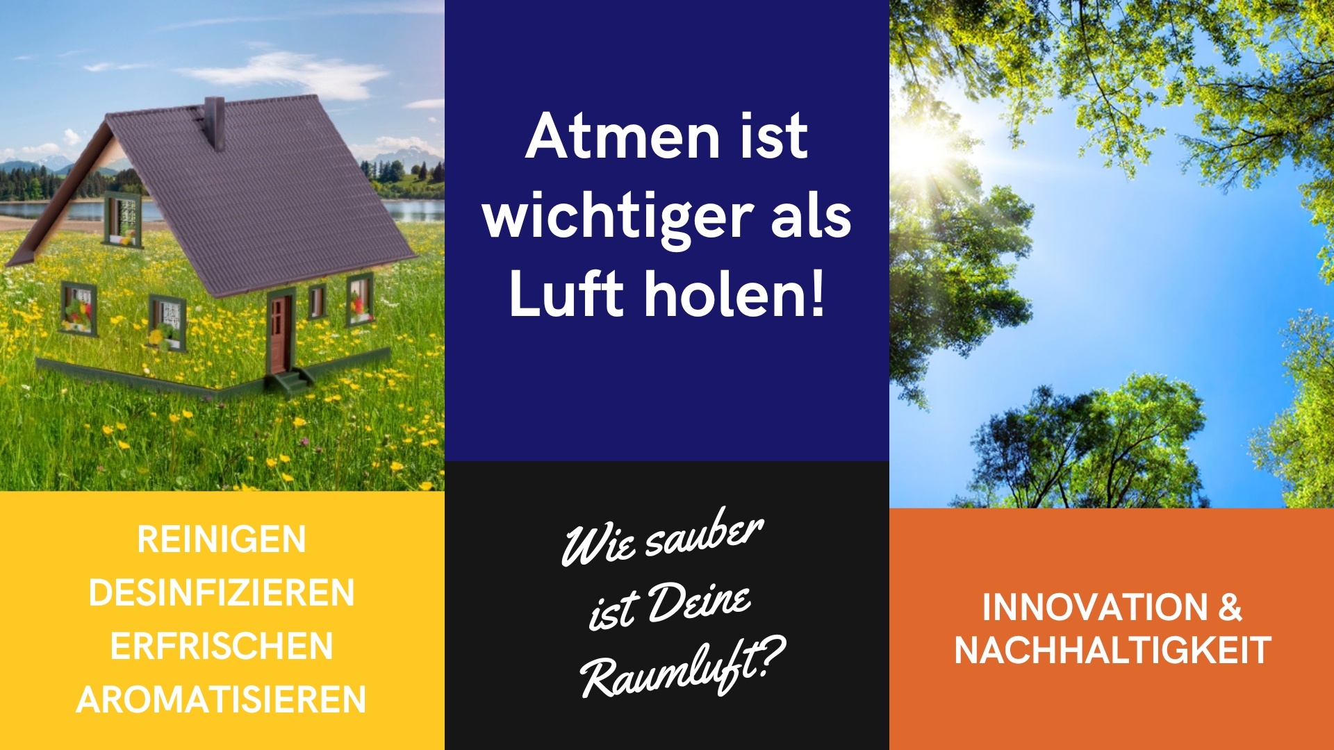 Reinigen und desinfizieren